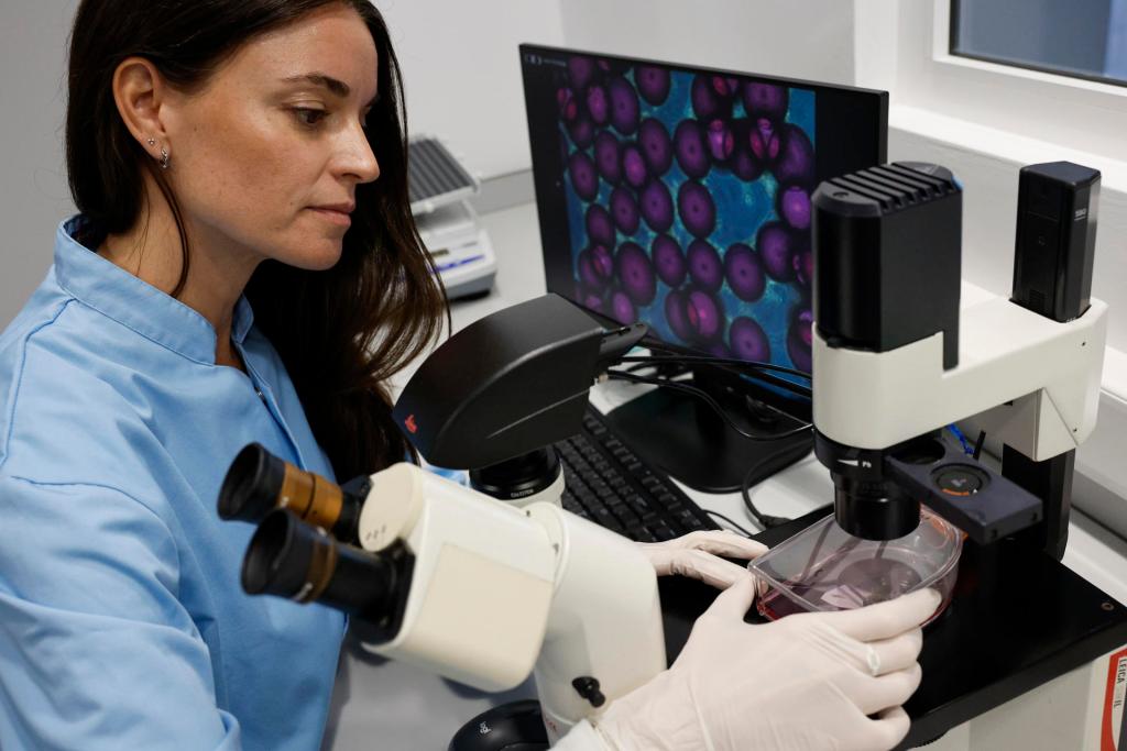 Imagen de archivo de células bajo el microscopio. EFE/Kai Försterling