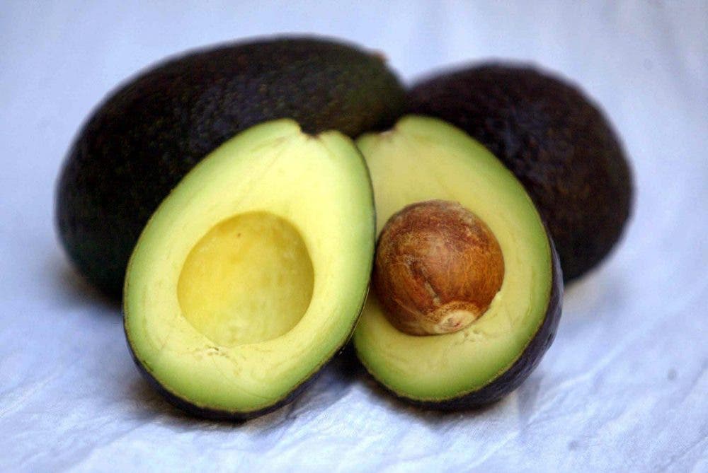 aguacate propiedades