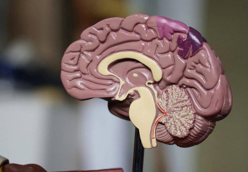 neurocirugía