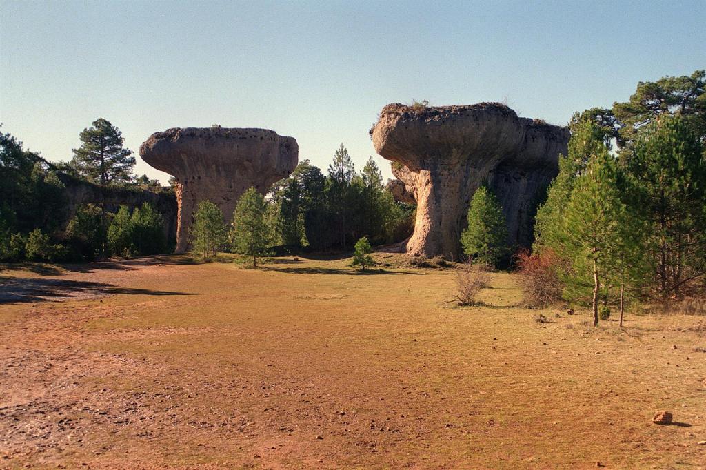 pareidolia