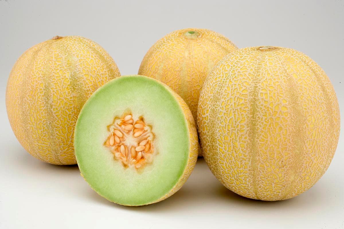 El Melón