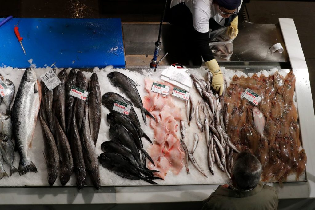 Proteína animal