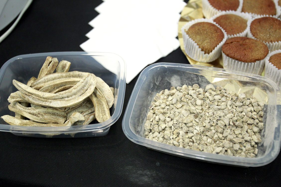 celiacos sin gluten
