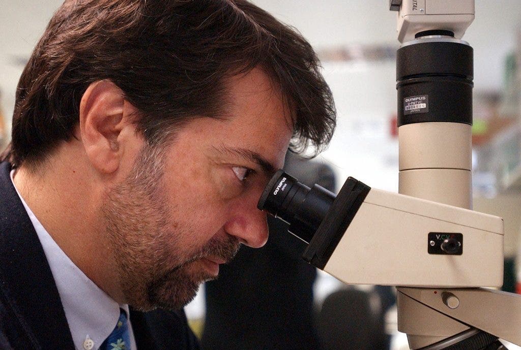 Pedro Alonso