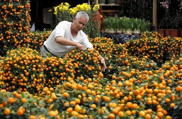 naranjas chinas