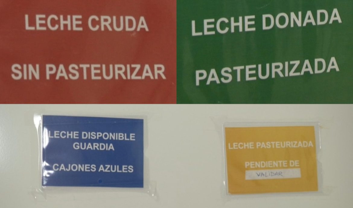 Una enfermera especializada en neonatología manipula la leche maternal donada para bebés prematuros o que no pueden recibir leche materna de su propia madre y están hospitalizados