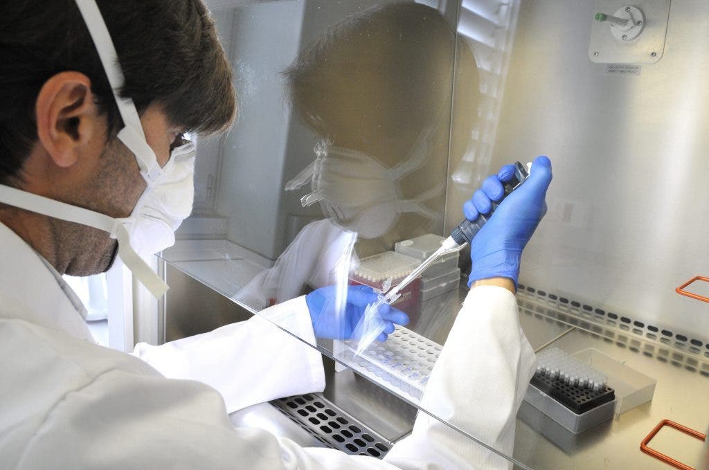 CRISPR