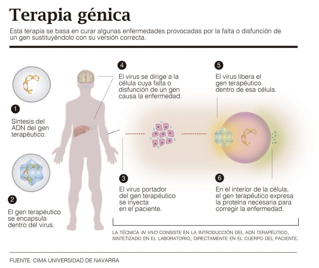 terapia génica