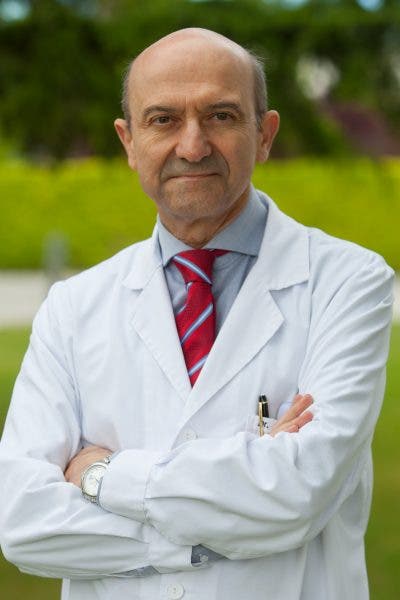 carne artículo