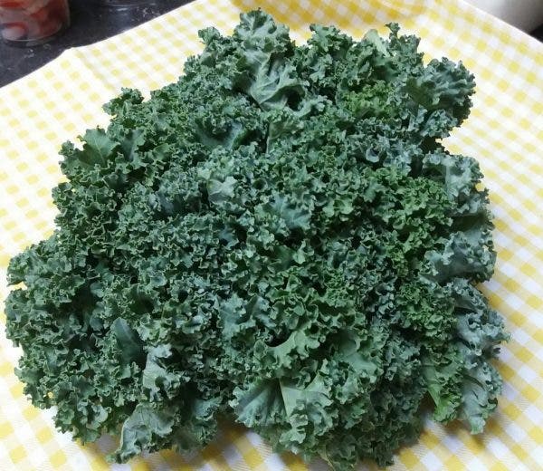 kale