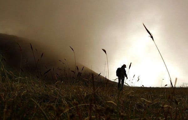 Bisexualidad masculina