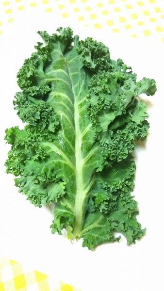 kale