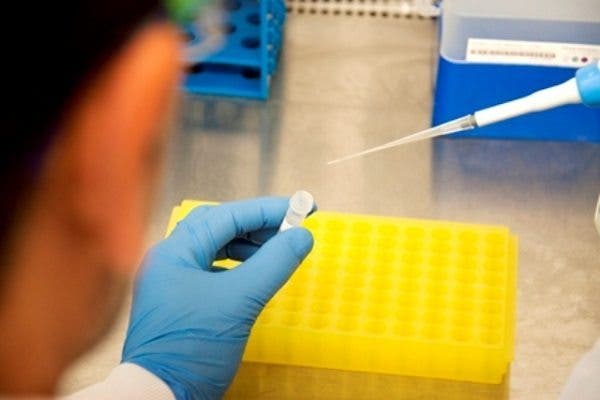 alimentos que nos protegen