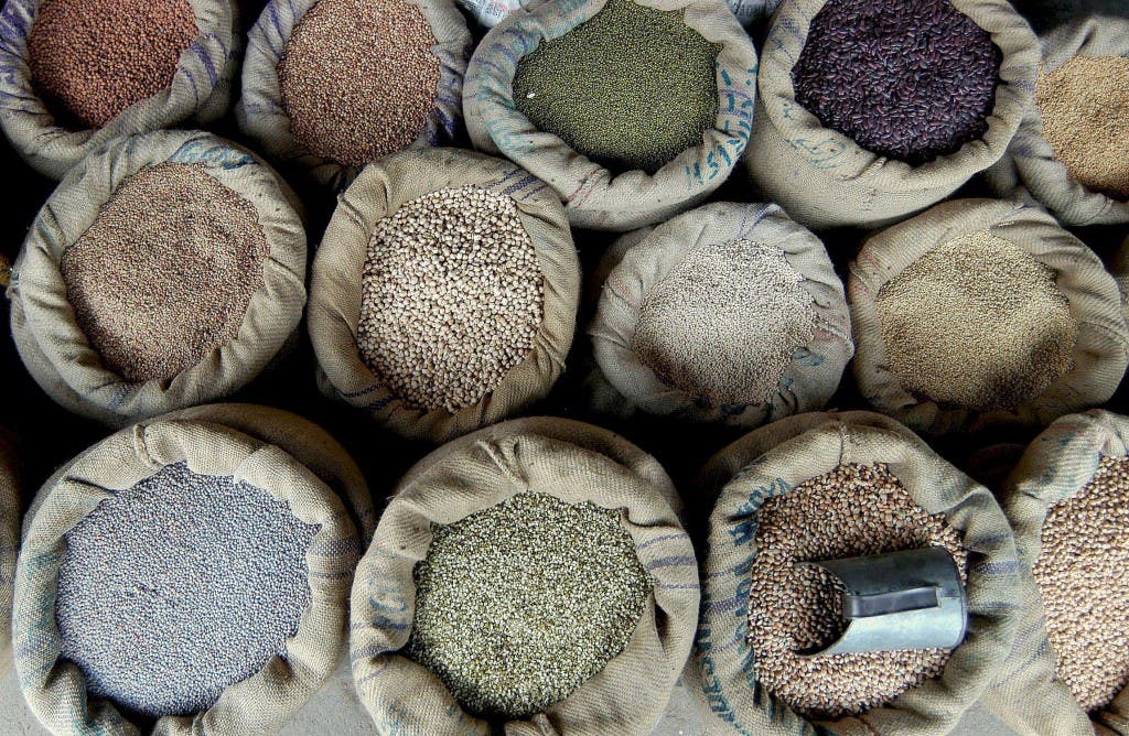 fibra alimentaria