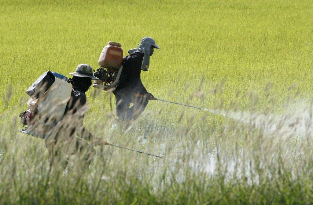 Tóxicos que atacan la fertilidad