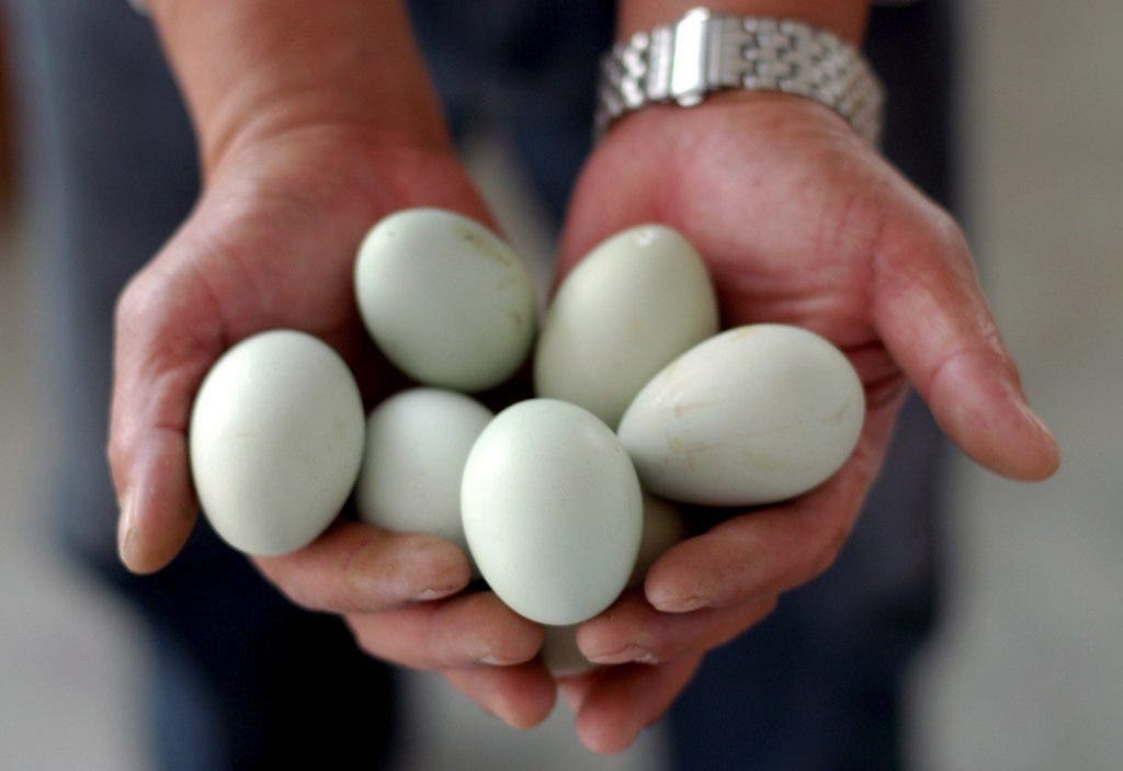 Huevos
