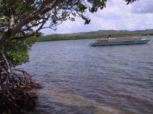 Las fascinantes bahías bioluminiscentes de Puerto Rico