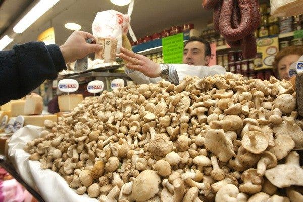 Perretxikos, alimentos antitumorales