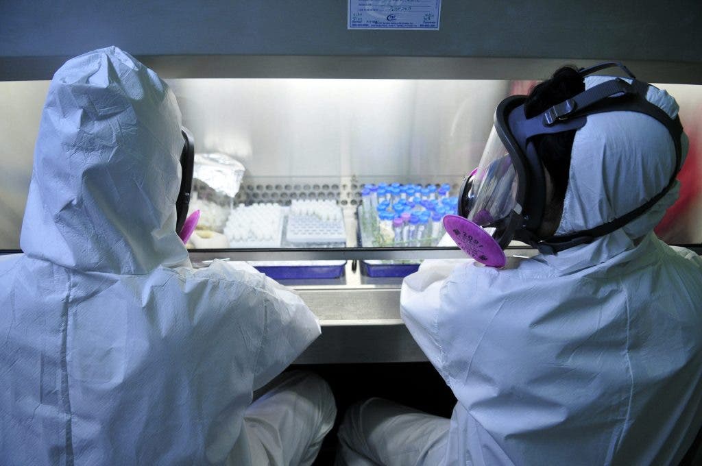 investigadores gripe A
