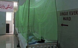 fiebre hemorrágica