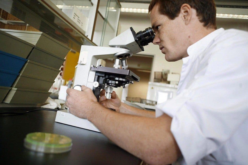 Los cuatro puntos fundamentales del manejo de la sepsis son: detección, diagnóstico y tratamiento precoz y monitorización de cómo responde el paciente. EFE/JORGE DIRKX 