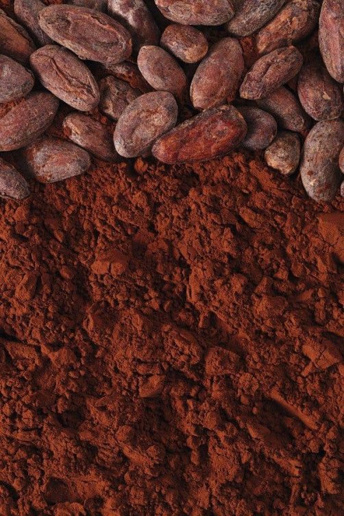 Cacao
