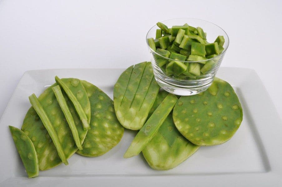 Nopal