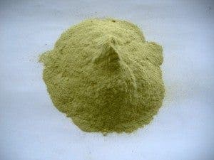 Imagen de una lote de harina de nopal. Foto: Investigación y Desarrollo 