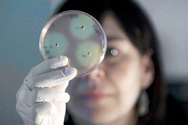 bacterias que se mueven como abejas