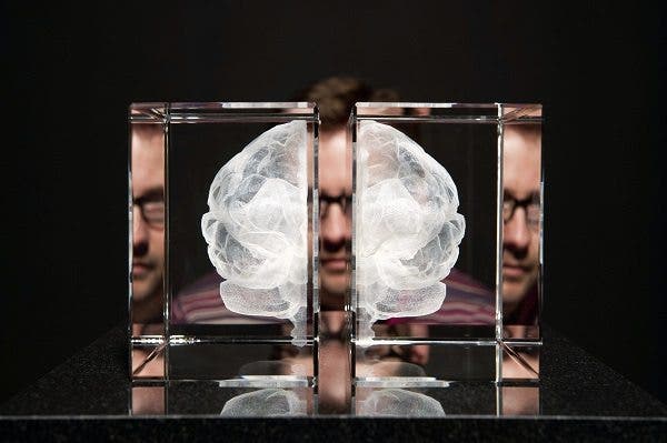 Cerebro encefalitis diagnóstico pacientes