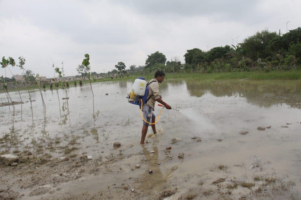 cambio climático