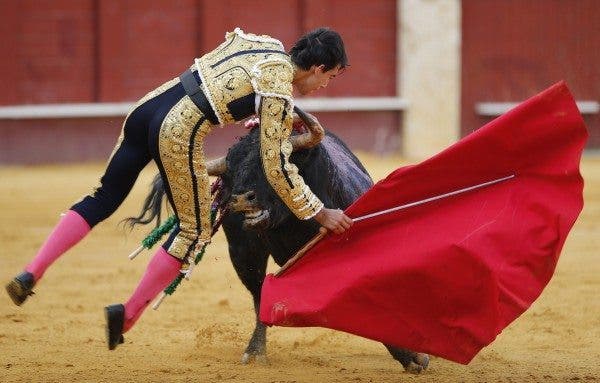 Saúl Jiménez Fortés