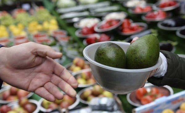 Aguacate propiedades