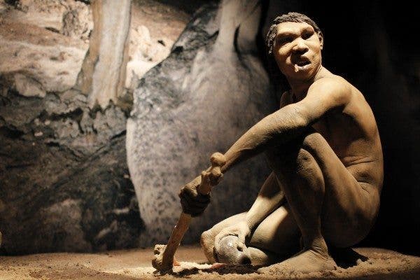 Dieta paleolítica
