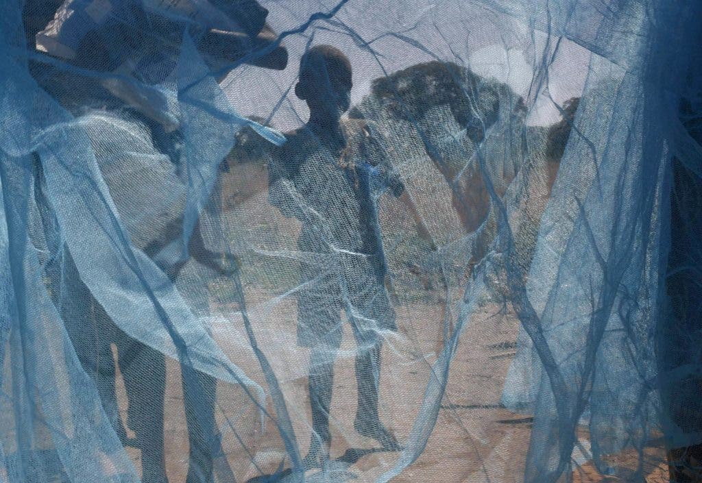 Mosquitera contra el mosquito que transmite la malaria. EPA/KIM LUDBROOK