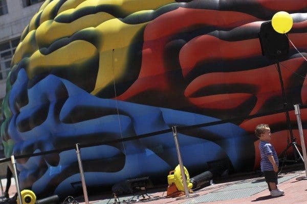 Detalle de cerebro gigante colocado en las inmediaciones del Teatro Colón de Buenos Aires en el marco de una campaña de general conciencia por el Día Mundial del Accidente Cerebrovascular (ACV) hoy, miércoles 5 de noviembre de 2014. El ataque cerebral es una afección causada por la pérdida súbita del flujo sanguíneo cerebral (isquémico) o por el sangrado (hemorrágico) dentro de la cabeza.