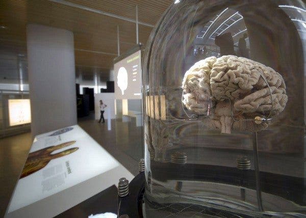 presidente neurólogos