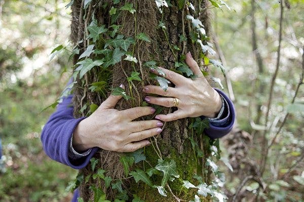 salud ecosistemas