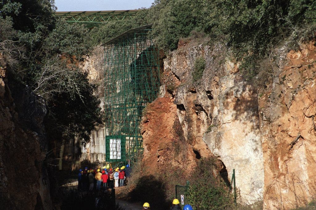 atapuerca investigación sordera