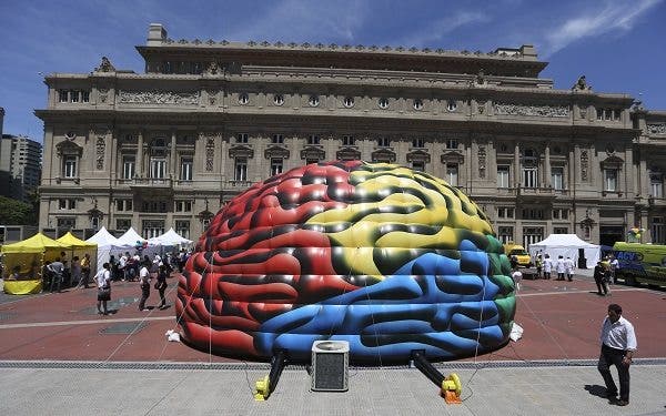 cerebro