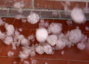 Alergia al semen polen