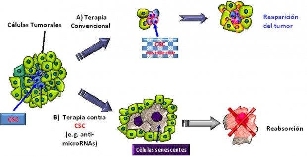 CÁNCER