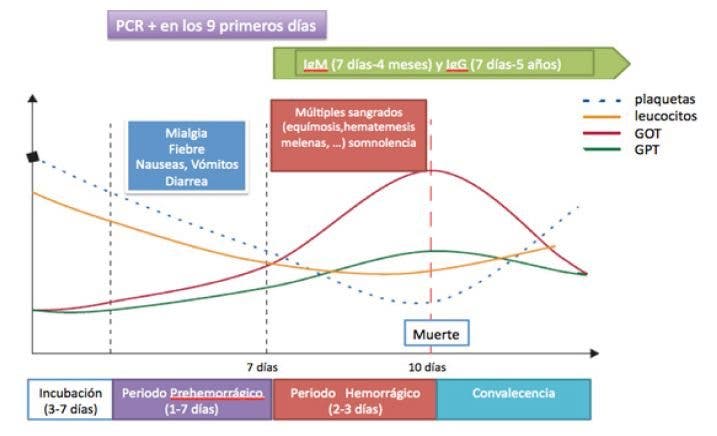 síndrome postavacional