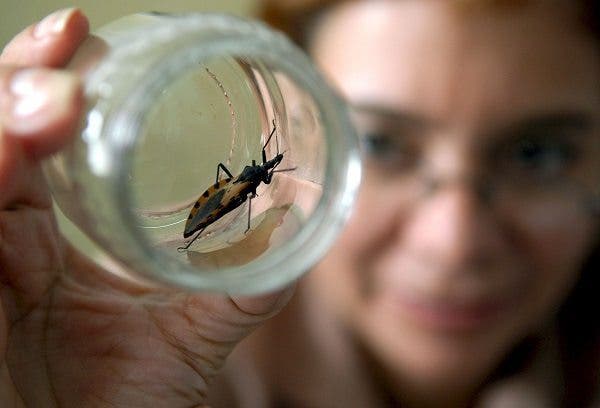 Mosquitos