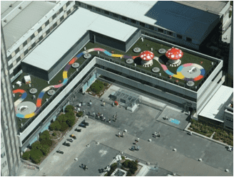 Proyecto "El jardín de mi hospi"./ Imagen cedida por Teva Foro Social
