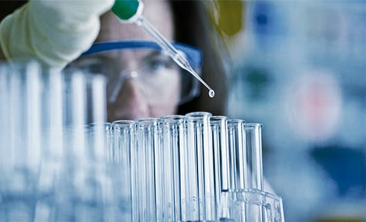 investigación bacteria frente al cáncer