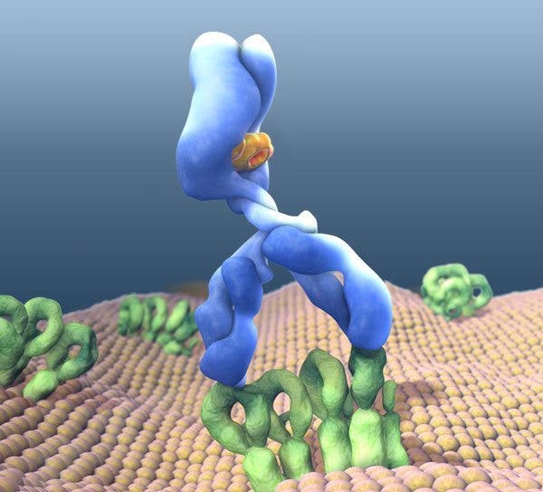 terapia experimental
