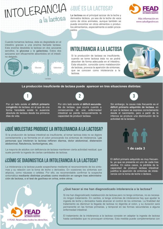 Infografía intolerancia a la lactosa