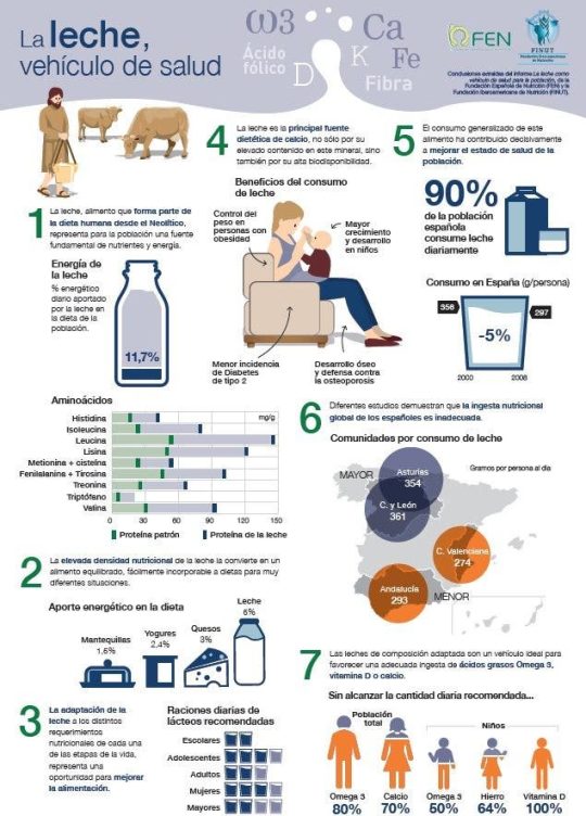 Informe leche propiedades de la leche infografía