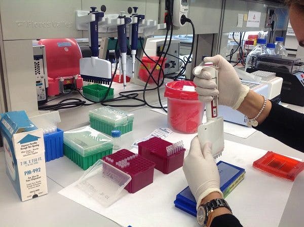 investigación genética CRISPR